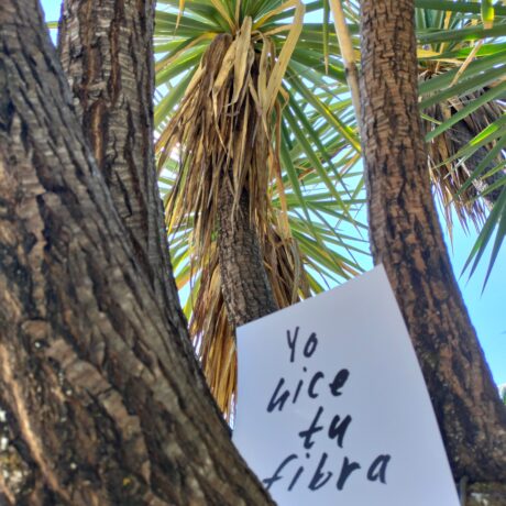 De la Sabra Marroquí al Izote de Zumpahuacán: Mitos y realidades de las fibras sostenibles en el mundo moderno